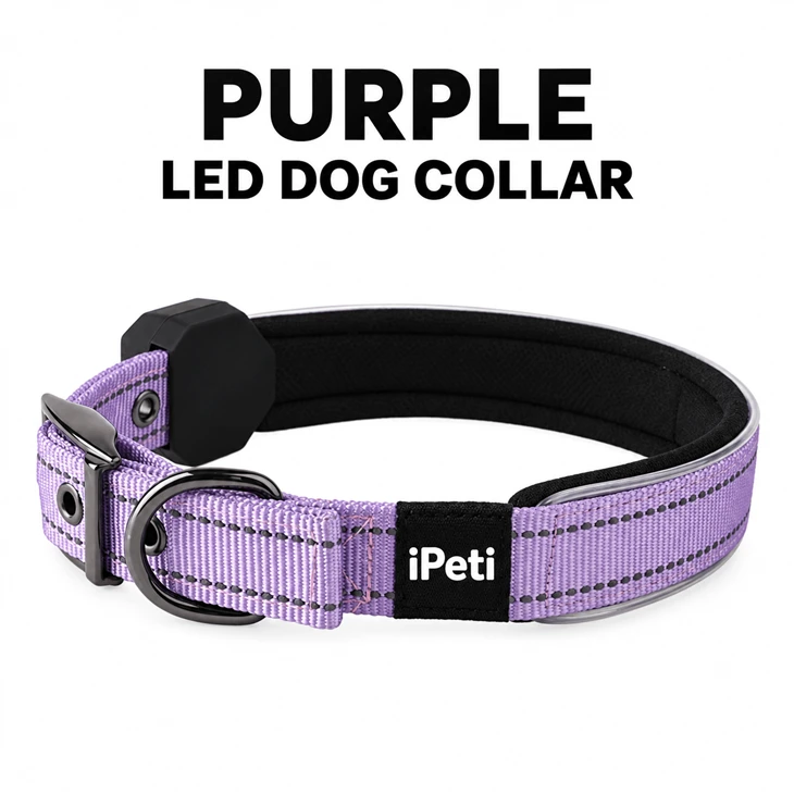 Rechargeable LED Dog Collar best