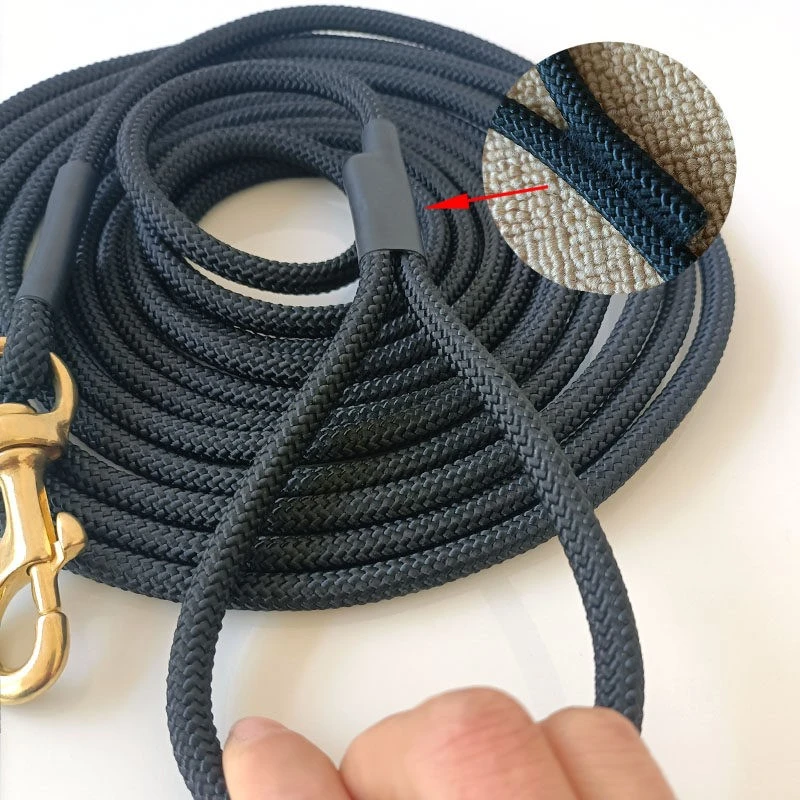 Long Dog Training Lead best