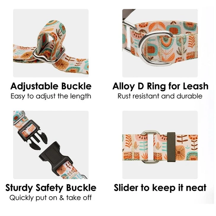 Martingale Collar For Puppy