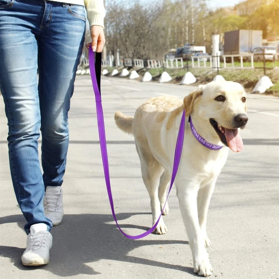 Personalized Embroidered Dog Collar factory