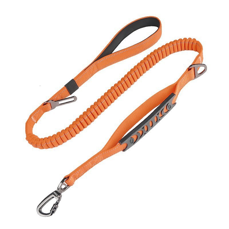 Premium Dog Leash