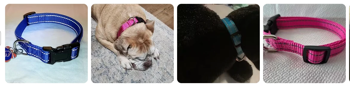 demo of pet collar demo of pet collar