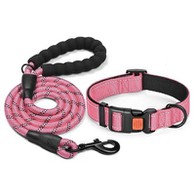 Coleira grande e conjunto de trela para cachorro