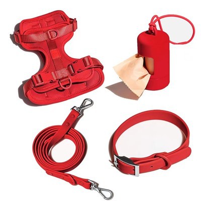 Conjunto de arnês para cachorro vermelho