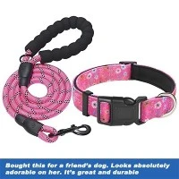 Wholesale Collars And Leashes Wholesale Collars And Leashes